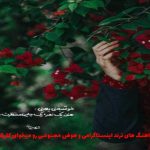دانلود ریمیکس دروغه اگه گفتم قیدتو زدم منم دیگه عینه تو بدم